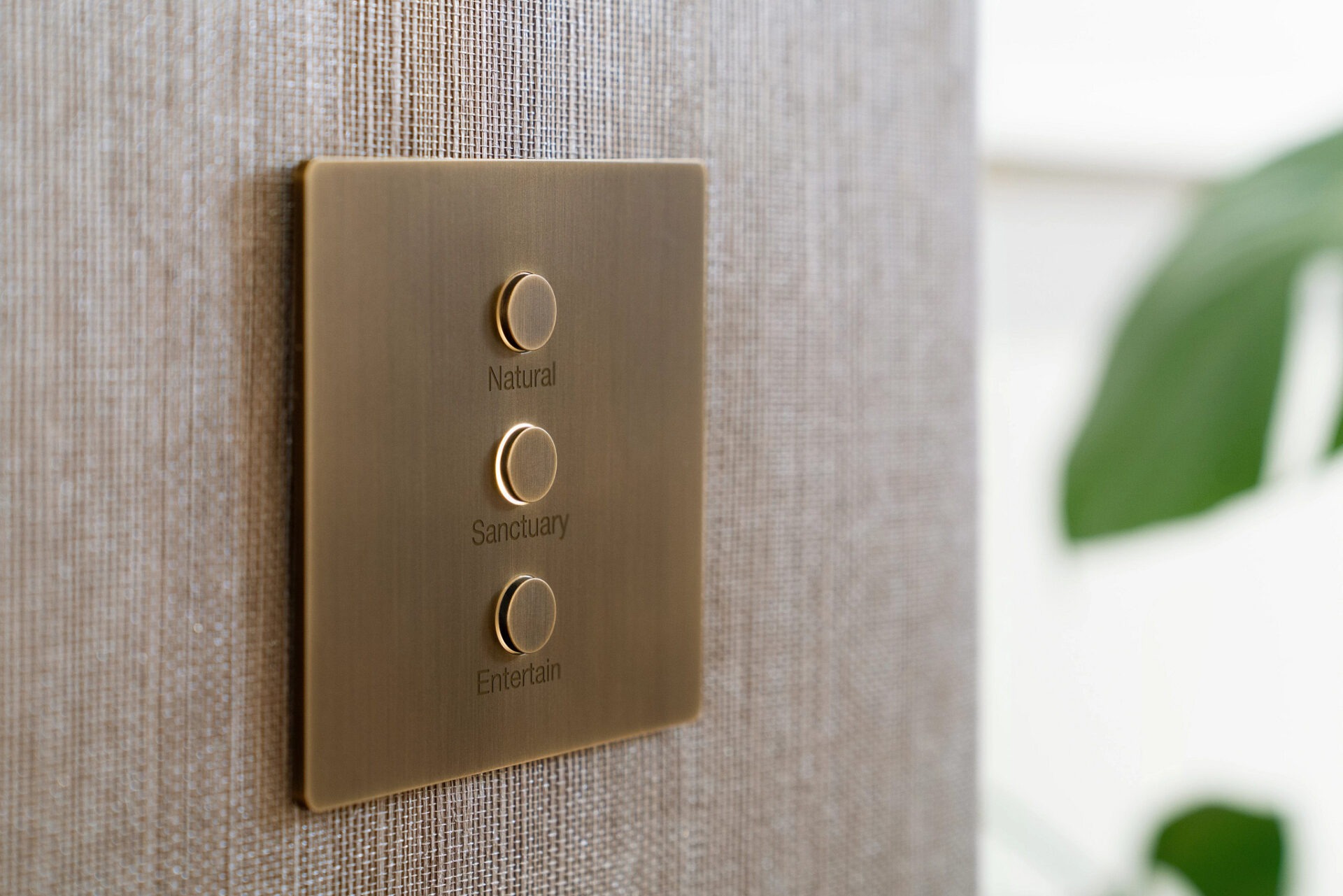 A brass light switch panel with buttons labeled Natural, Sanctuary, and Entertain on a textured wall, with a blurred plant in the background.