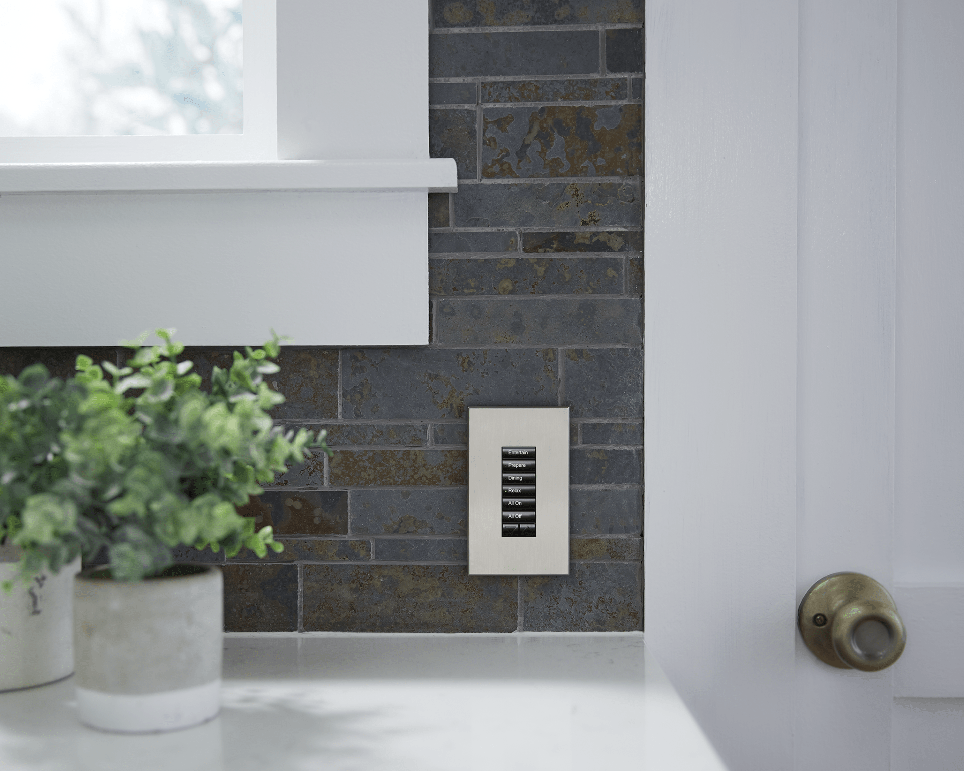 A kitchen interior with grey slate tiles, a light switch, and a plant in the foreground near a window and white door.