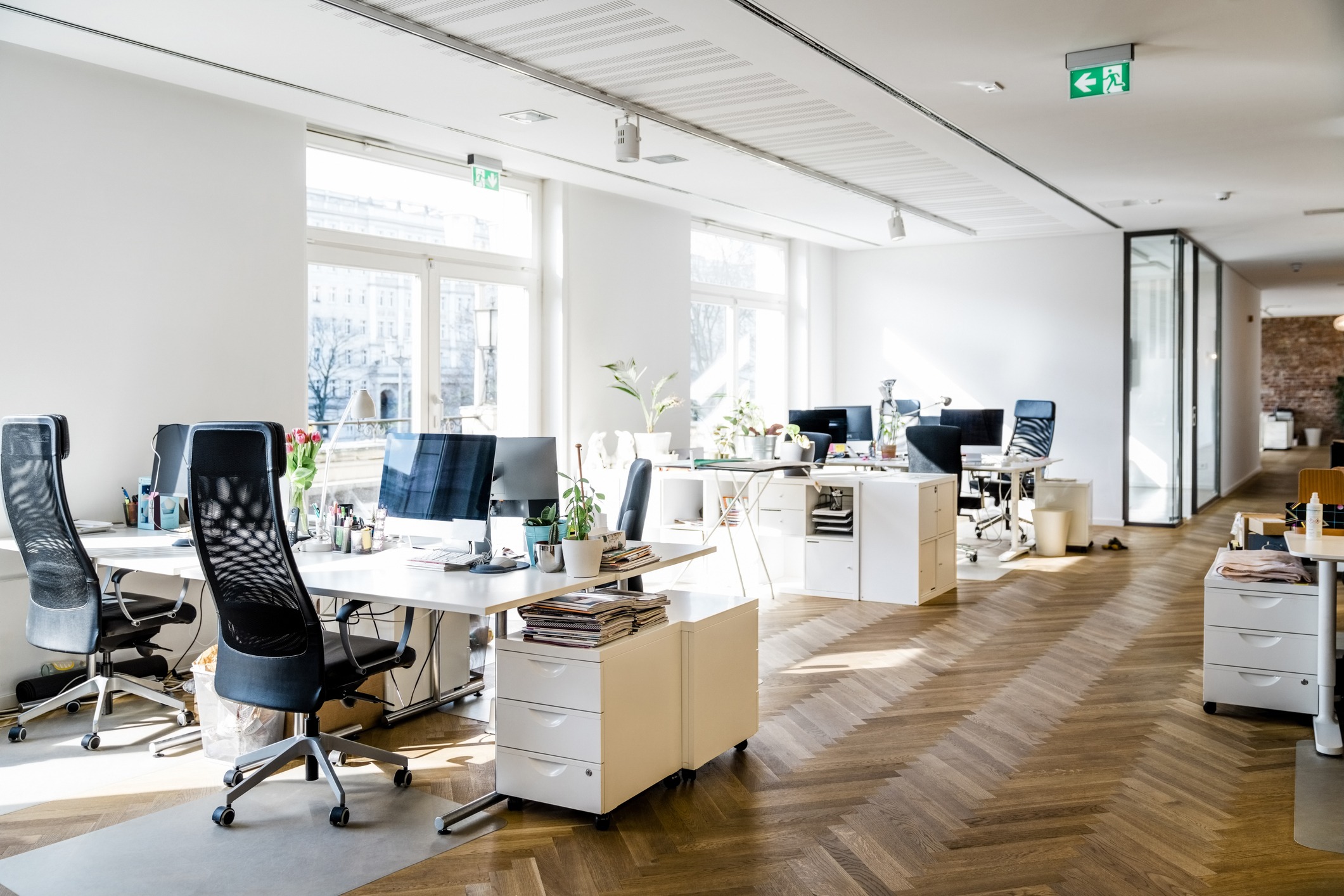 Modern, bright office space with desks, chairs, computers, and large windows. Wooden flooring and plants create a welcoming atmosphere. Unoccupied and well-organized.