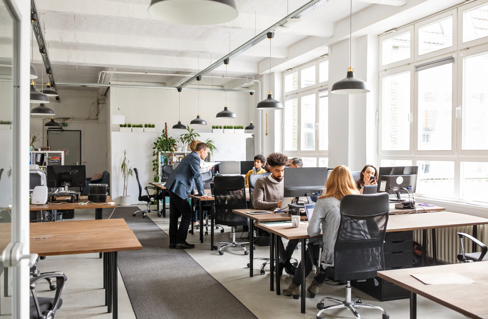 Modern office setting with six people working at desks. Bright natural light, minimalist decor, plants on wall, and industrial-style ceiling lamps.